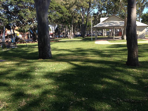 Bay Turf - Internet Find 2