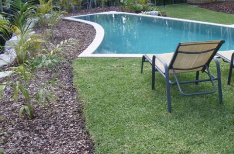 Waterwise Turf - Internet Find 0