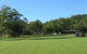 Waterwise Turf - thumb 3