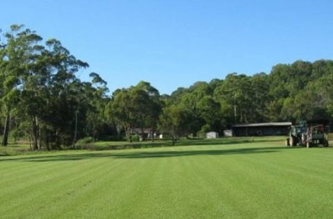 Waterwise Turf - Internet Find 3