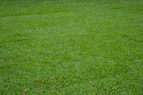 Landscape Supplies Gumlow QLD Internet Find