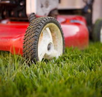 Beau Park Turf Farm - Internet Find
