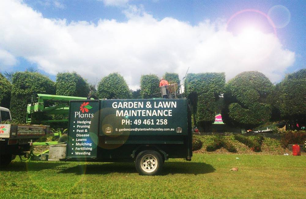 Lawnmowing Maintenance Cannon Valley QLD Internet Find