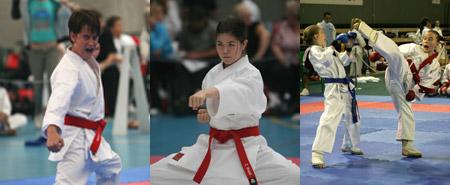 Matsumoto Karate Academy - Internet Find 2