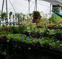 Lismore Garden Centre - Internet Find