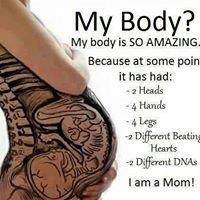 Optimal Midwifery - Internet Find 3