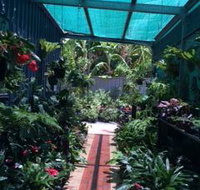 Pickos Plants - Internet Find