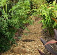 Plant Connections - Internet Find