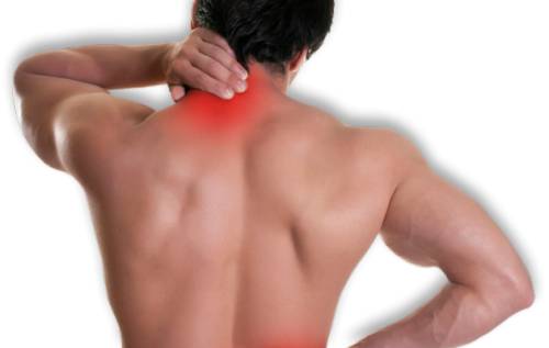 Osteopaths Lismore NSW Internet Find