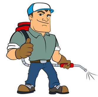 Pest Control Pialba QLD Internet Find