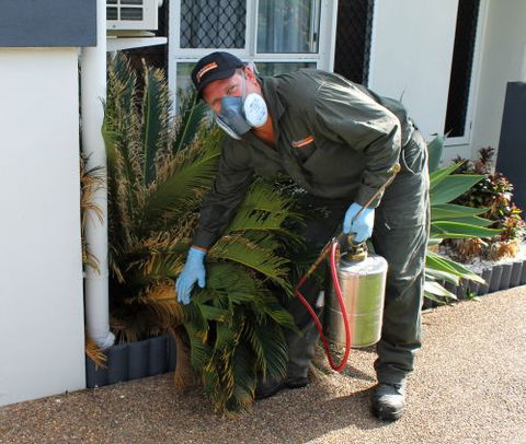 Total Pest Management Townsville - Internet Find 3
