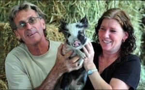 Noosa Rural Produce - Internet Find 1