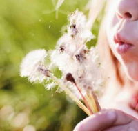 Kerrisdale Gardens Physiotherapy  Wellness Centre - Internet Find