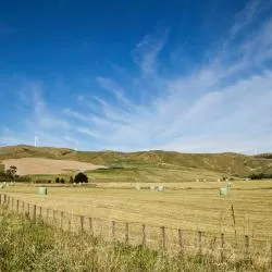 Manawatu