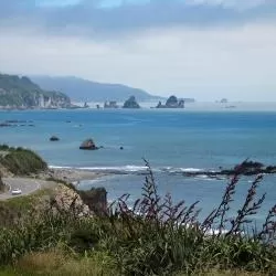 West Coast