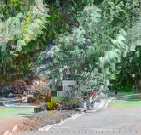 Oasis at Palm Cove - Internet Find